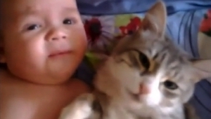 To nejsladší video všech dob. Kočka a miminko!
